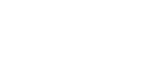 Virtual town hall for global fashion brand